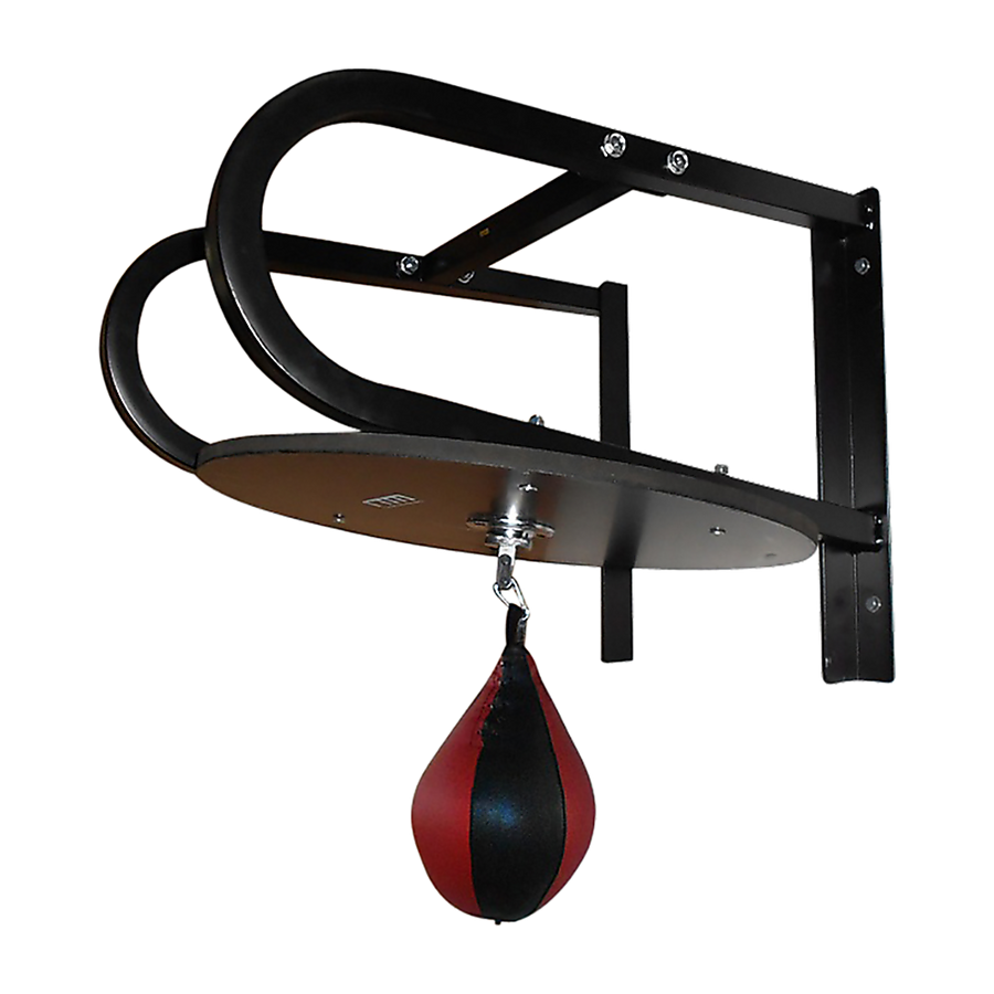 Speedball boxing punching bag training set with wall frame for home gym, includes speedball and mounting hardware.