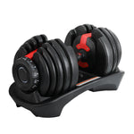 Adjustable 24kg Everfit dumbbells with weight plates for home gym strength training, featuring black handles and silver plates.