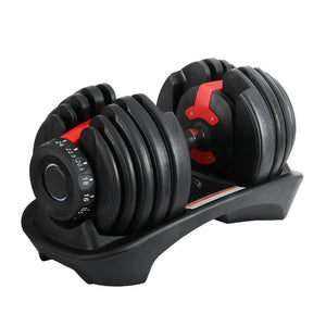 Adjustable 24kg Everfit dumbbells with weight plates for home gym strength training, featuring black handles and silver plates.