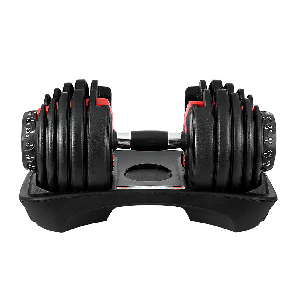 Adjustable Everfit 24kg dumbbells with weight plates for home gym workouts, featuring black handles and silver weights.