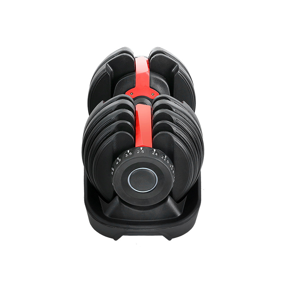 Adjustable 24kg Everfit dumbbells with weight plates for home gym strength training, featuring black handles and weight markings.