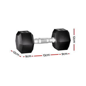 Pair of 20kg Everfit hex dumbbells with black handles, shown on gym bench for weightlifting and fitness workouts.