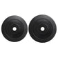 Set of Everfit 30kg barbell weight plates for home gym, featuring durable metal construction for fitness and strength training.