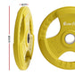 Yellow Everfit Olympic weight plates, 20kg each, for dumbbell and barbell, designed for home gym weight lifting, by Online Fitness Depot.
