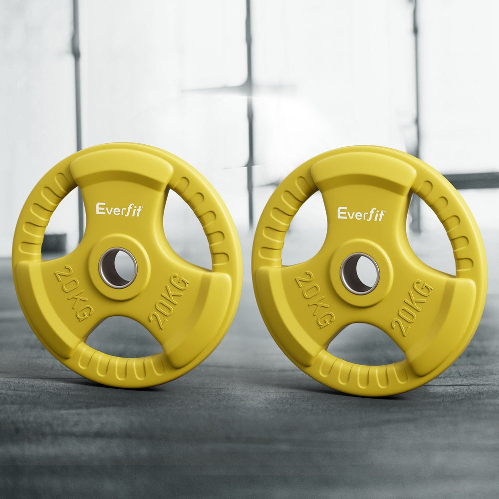 Yellow Everfit 20kg Olympic weight plates for dumbbell and barbell, suitable for home gym weightlifting exercises.