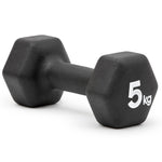 Pair of Adidas Hex Dumbbells for gym training and fitness workouts, with black handles and hex-shaped weights for weight lifting.