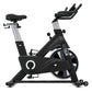 Lifespan Fitness SM810 Commerical Spin Bike