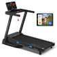 Lifespan Fitness Pursuit 4 Treadmill