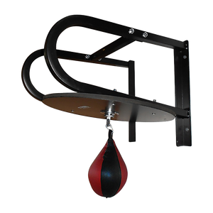 Speedball boxing punching bag training set with wall frame for home gym, includes speedball and mounting hardware.