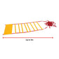 Nine-meter agility speed training ladder from Online Fitness Depot, with colorful plastic rungs for sports and fitness agility drills.