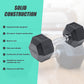 10kg commercial rubber hex dumbbell from Online Fitness Depot, heavy gym weight for strength training and weightlifting.