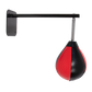 Speed bag boxing punching bag wall mount for reflex training, shown with mounting hardware on a gym wall.
