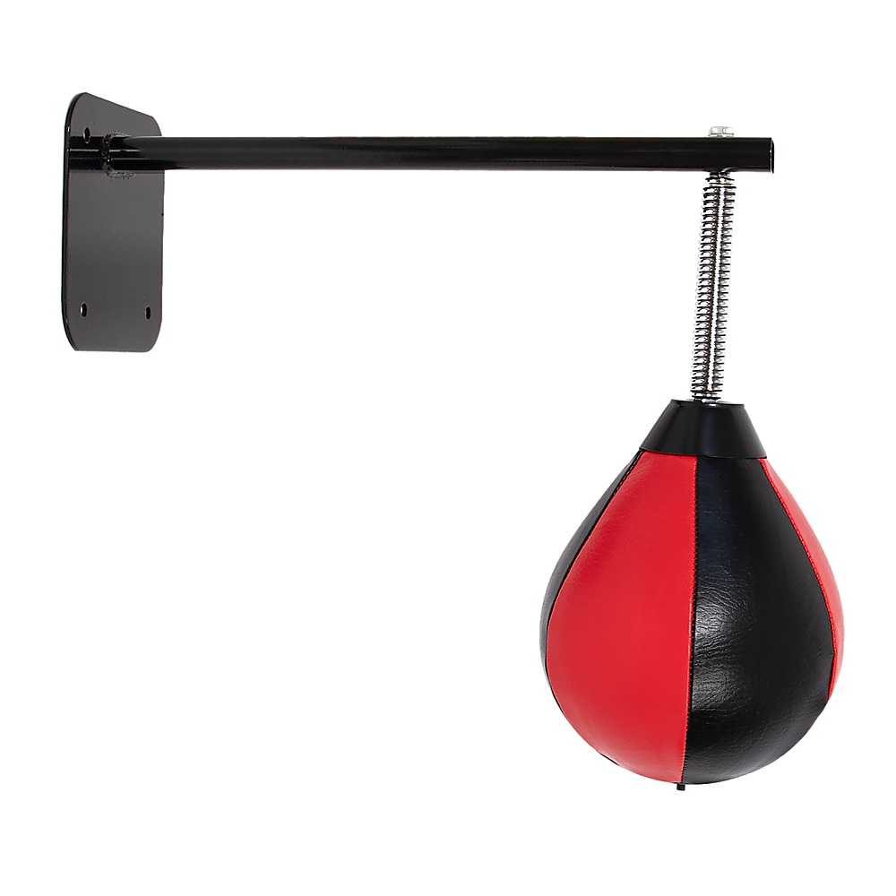 Speed bag boxing punching bag wall mount for reflex training, shown with mounting hardware on a gym wall.