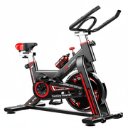 The Exercise Companion (Bicycle)